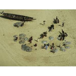 Fishermen and Canoe on Beach Loading Their Catch onto Wagons Stretched 