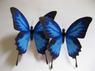 Blue Butterfly Wedding Decoration Cake Topper 4.5  