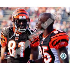  Terrell Owens & Chad Ochocinco 2010 Action , 24x20