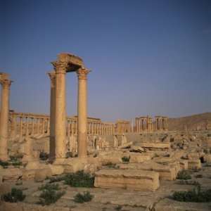  Roman Baths of Diocletian, Palmyra, Syria, Middle East 