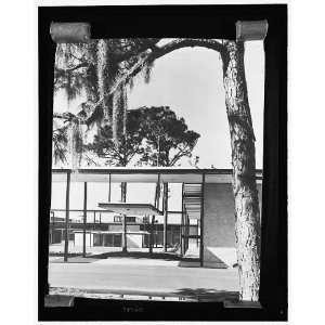   ,Sarasota,FL,Courtyard,Paul Rudolph,Architecture,1957