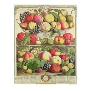  September, from Twelve Months of Fruits, by Robert 