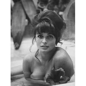 Austrian Actress Senta Berger During the Time She Was 