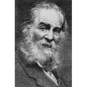 Walt Whitman as an old man, head and shoulders portrait   16x20 