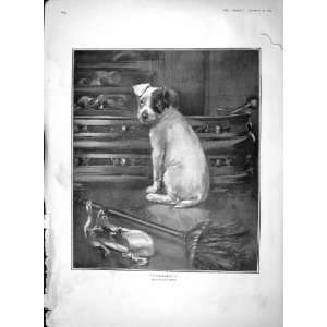    1903 CINDERELLA PUPPY DOG FIREPLACE BROOM FINE ART