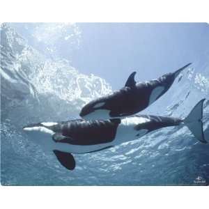  Swimming Orcas skin for Apple iPhone 3G / 3GS Electronics