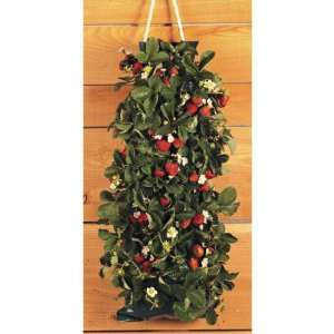  Set/3 Hanging Strawberry Babylon Bag Planters   Complete 