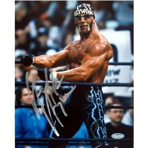  Hollywood Hulk Hogan Flexing Vertical 16x20 Sports 