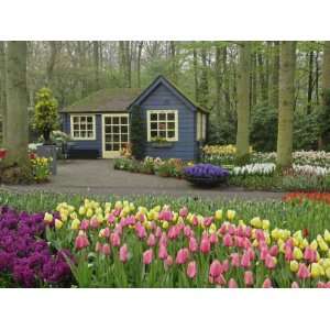 Small cottage flower shop, Keukenhof Gardens, Lisse, Netherlands 