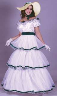 SOUTHERN BELLE Adult Costume Ball Gown Victorian S M L  