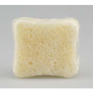    Jasmine Soap Infused Spa Sponge Case Pack 12   682376 Beauty
