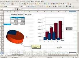 Office Software Open Microsoft MS Excel Word 2003 2010 Documents 