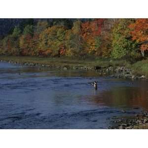 Fly Fisherman Lays Out a Perfect Cast in Search of Atlantic Salmon 