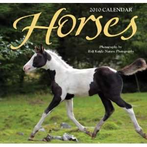  Horses   2010 Mini Wall Calendar