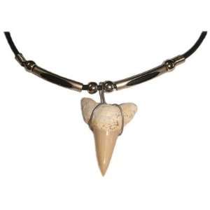  XXL Shark Tooth Pendant Hawaiian Necklace 