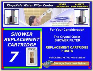   kingskafe water filter center  savings 1 year $ 1 29 50