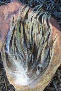 Badger Saddle Feather Pad