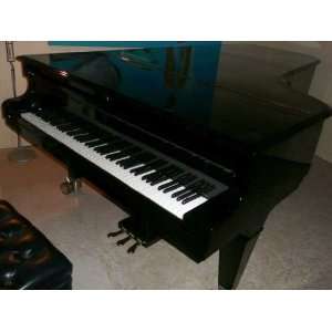  C. Bechstein Concert Grand Piano Musical Instruments