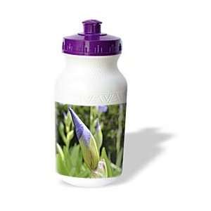  Patricia Sanders Flowers   purple iris bud   Water Bottles 