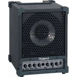  Roland CM30 CUBE Monitor Portable PA System Musical Instruments