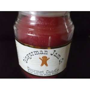  Wild Raspberry Candle 14 oz free tealight or votive 