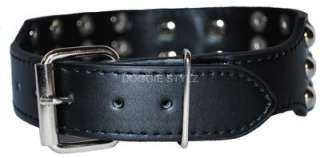 Black Leather Dog Collar Silver Studs Dane Malamute Akita Pitbull Rott 