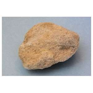 SciEd Individual Rock Specimens Igneous Rocks; Pumice, light gray Qty 