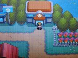 Pokemon Heart Gold DS DSI All 27 Pokewalker Routes 3DS  