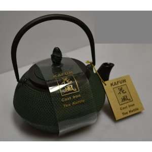  Cast Iron Tea Kettle Pot Green 