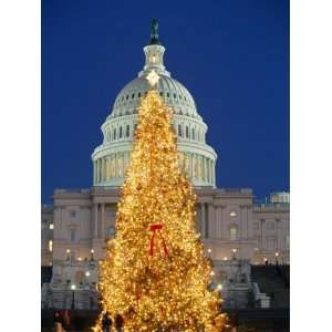  View of the National Christmas Tree Standing Before the 