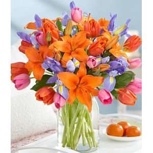 Flowers   Deluxe Spring Awakenings with Vase  Grocery 